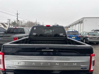2021 Ford F-150 Platinum