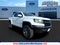 2019 Chevrolet Colorado 4WD ZR2