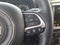 2023 Jeep Renegade Limited